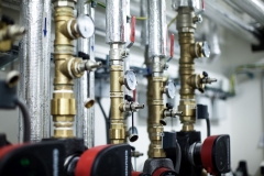 HK_Honkova_odlehdovaci_sluzba_2021_IMG_0119-2-DESKTOP-S7FCK2J